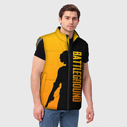 Мужской жилет PUBG Z, цвет: 3D-светло-серый — фото 2