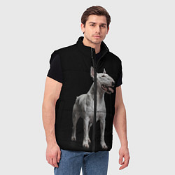 Мужской жилет Bully, цвет: 3D-черный — фото 2