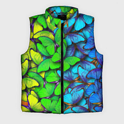 Мужской жилет Радужные бабочки, цвет: 3D-светло-серый