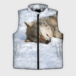 Мужской жилет Спящий Волк, цвет: 3D-светло-серый