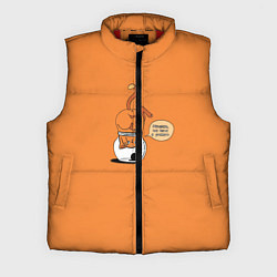 Мужской жилет Хьюстон, у нас проблемы!