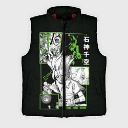 Мужской жилет Доктор Стоун Сенку