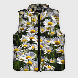 Мужской жилет Ромашки, цвет: 3D-черный