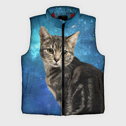 Мужской жилет Кот Космос, цвет: 3D-красный