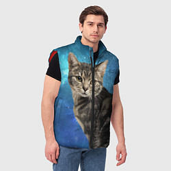 Мужской жилет Кот Космос, цвет: 3D-красный — фото 2