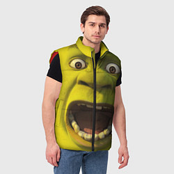 Мужской жилет Shrek is Yelling, цвет: 3D-красный — фото 2