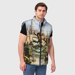 Мужской жилет Принц Персии классика, цвет: 3D-светло-серый — фото 2