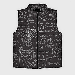 Мужской жилет Алгебра и Геометрия, цвет: 3D-светло-серый
