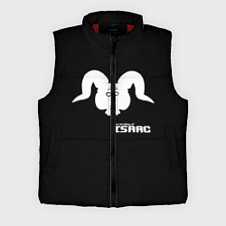 Мужской жилет The Binding of isaac Satan