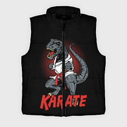 Мужской жилет KARATE T-REX, цвет: 3D-черный
