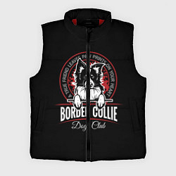 Мужской жилет Бордер-Колли Border Collie