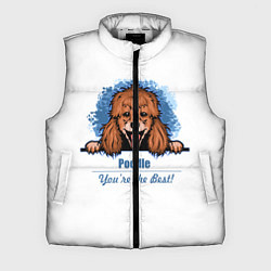 Мужской жилет Собака Пудель Poodle, цвет: 3D-светло-серый