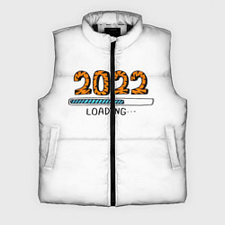 Мужской жилет 2022 загрузка, цвет: 3D-черный