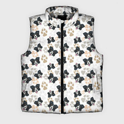 Мужской жилет Бордер Колли, цвет: 3D-светло-серый