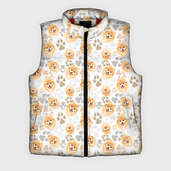 Мужской жилет Собака Чау-Чау, цвет: 3D-красный