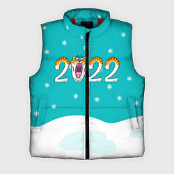 Мужской жилет Надпись 2022 Новый год