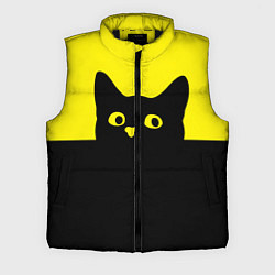 Мужской жилет Котик голова кота