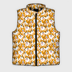 Мужской жилет Собаки Корги
