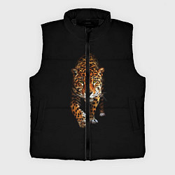 Мужской жилет Big Cat Leo, цвет: 3D-черный