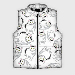 Мужской жилет КОТИКИ МЕМ МЯУ, цвет: 3D-черный