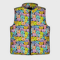 Мужской жилет Весёлые Котики, цвет: 3D-светло-серый