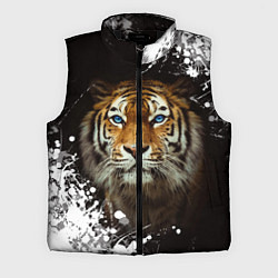 Мужской жилет Год тигра2022, цвет: 3D-черный