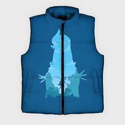 Мужской жилет Шень Хе Genshin Impact, цвет: 3D-черный