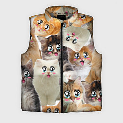 Мужской жилет Много кошек с большими анимэ глазами