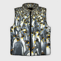 Мужской жилет Пингвины Penguins, цвет: 3D-светло-серый