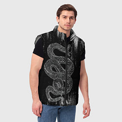 Мужской жилет Snake Краски Змея ЧБ, цвет: 3D-светло-серый — фото 2