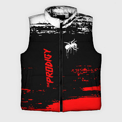 Мужской жилет The prodigy : дарование, цвет: 3D-черный