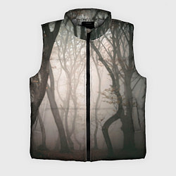 Мужской жилет Лес Туман, цвет: 3D-светло-серый