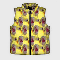 Мужской жилет Попугай Корелла Орёт Мем