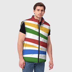 Мужской жилет Разноцветная зебра без чёрных полос, цвет: 3D-светло-серый — фото 2