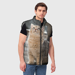 Мужской жилет Британская короткошёрстная кошка смотрит вверх, цвет: 3D-светло-серый — фото 2