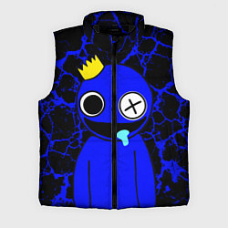 Мужской жилет Радужные друзья - персонаж Синий, цвет: 3D-черный