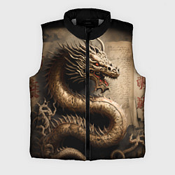 Мужской жилет Китайский дракон с открытой пастью, цвет: 3D-светло-серый