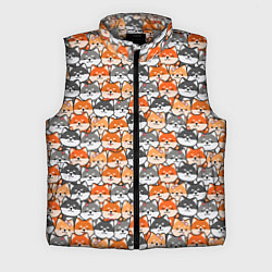 Мужской жилет Dog pattern