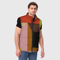 Мужской жилет Геометрическое множество разноцветных фигуры, цвет: 3D-черный — фото 2