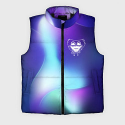 Мужской жилет Poppy Playtime northern cold