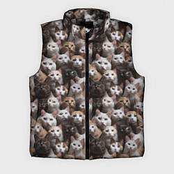 Мужской жилет Паттерн из кошечек, цвет: 3D-светло-серый