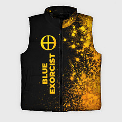 Мужской жилет Blue Exorcist - gold gradient: по-вертикали