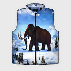 Мужской жилет Мамонт ледникового периода