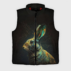 Мужской жилет Магический кролик