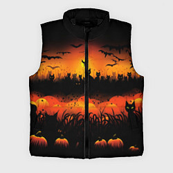 Мужской жилет Кошки хэллоуина