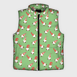 Мужской жилет Гномы бородачи