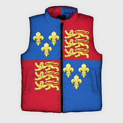 Мужской жилет Рыцарское сюрко Ричарда Львиное Сердце, цвет: 3D-красный