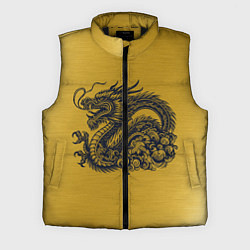 Мужской жилет Дракон на золоте, цвет: 3D-черный