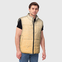 Мужской жилет Золотое руно, цвет: 3D-светло-серый — фото 2