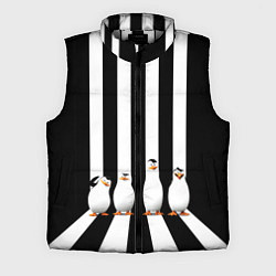 Мужской жилет Четыре пингвина, цвет: 3D-светло-серый